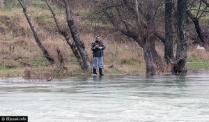 Pi&scaron;e: Čaportal